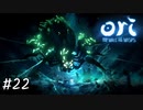 モラ【Ori and the Will of the Wisps】#22