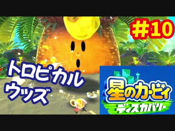 [Switch]星のカービィディスカバリーで遊ぶ#10