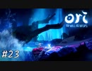 クウォルクさんの貴重な入水シーン【Ori and the Will of the Wisps】#23