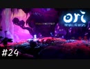 水中をも我が物とする精霊【Ori and the Will of the Wisps】#24