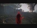 チキン野郎のゲーム日記 エルデンリング編 その1