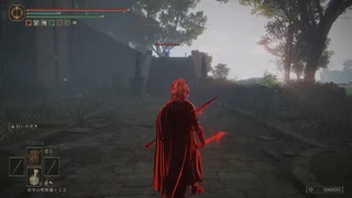 チキン野郎のゲーム日記 エルデンリング編 その1