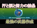 【実況】新生活と国作り！【ルーンファクトリー4 SP】part30