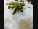 ご飯に青実山椒何杯でも食べれます病院でおかわりありませんかといわれたので大盛でお願いしますと答えた