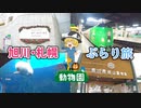 【旭川・札幌ぶらり旅】旭山動物園・もいわ山ロープウェイへ突撃！北海道の観光スポットを紹介！【ゆっくり旅行】北海道観光地巡り一人旅part4