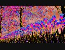 bloom @Nagayama Chiyuri