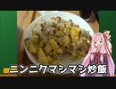 【ニンニク祭】ニンニクマシマシ炒飯