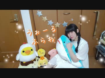 【めるでぃ】うぉーるふらわ 踊ってみた