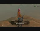 砂漠のおね？え(っうさんく)さん？【ゼルダの伝説 BOTW 300% 攻略】