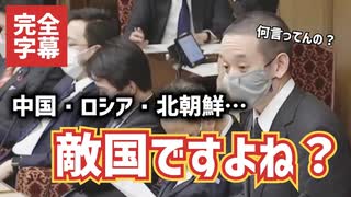 【必見】NHK党・浜田議員の質疑が神懸っていたので思わず完全字幕を入れてみた【浜田聡】【財政金融委員会／2022.3.15】