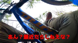 「MTBじゃいいぞ～！」オフロードバイク乗りがMTBでダウンヒルした結果・・・その3(kona PROCESS 134 DL)