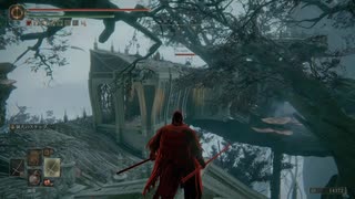 チキン野郎のゲーム日記 エルデンリング編 その４