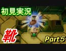 【ゼルダの伝説 夢を見る島】 夢見るさかな part5【初見実況】