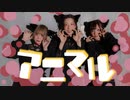 【愁ひなせんだ】アニマル　踊ってみた【ズッキュンだ！】