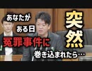 【レア】ホリエモンが国会で刑事訴訟法の一部改正案に対する参考人として出席した動画に完全字幕を入れてみた【堀江貴文】【NHK党アドバイザー】【法務委員会／2015.7.10】