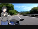 ソロツーリングパート2　甲部峠～奥多摩周遊道路～道の駅こすげ