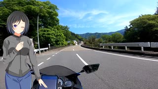 ソロツーリングパート2　甲部峠～奥多摩周遊道路～道の駅こすげ