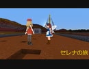ポケモンセレナの旅その22