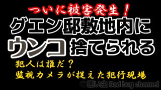 【グエン邸監視カメラ映像】ウンコ不法投棄被害発生