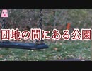 団地の間にある公園【ゆっくり怪談】【怖い話】ほんのりと怖い話