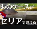 バーチャルお魚観察編。【バーチャルいいゲーマー佳作選】