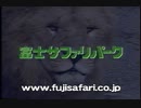 【懐かしの静岡のＣＭ】９０年代くらい　本当にローカル無し！