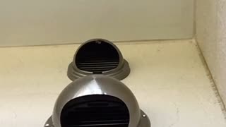 ギフトが届いたぞー！ 2019/8/10(土) 14:47開始 (3時間11分)（コメなし）
