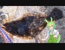 ずんだもんと釣りします【Ⅵ】サビキ釣り＋のませ釣り４