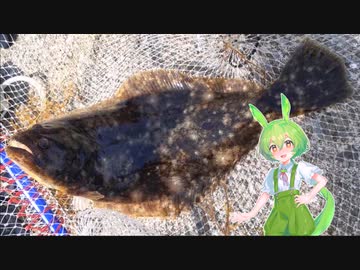 ずんだもんと釣りします【Ⅵ】サビキ釣り＋のませ釣り４
