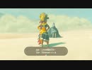 ルージュさん護ってくださいよぉぉぉぉ【ゼルダの伝説 BOTW 300% 攻略】