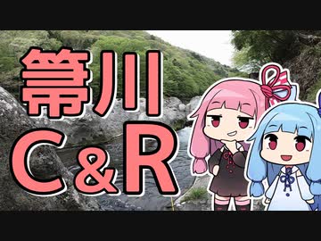延長戦に突入するおじさんを実況する琴葉【VOICEROIDフィッシング】