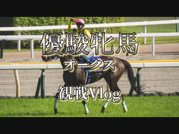 【Vlog】競馬場にちょっとだけ行き慣れた競馬初心者男、２度目のG1観戦【オークス】