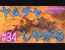 【実況】怖いよサンダージョー #34【Horizon Forbidden West】
