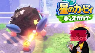 メラメラ！ショッピングモールに畜生放火魔現る｜星のカービィ ディスカバリー #2