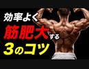 【【筋トレ】効率よく筋肥大させるための3つのコツ【ビーレジェンド プロテイン】