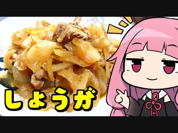 【クソデカ新玉ねぎの生姜焼き】「茜ちゃんが美味いと思うまで」R〒A 22:32 WR