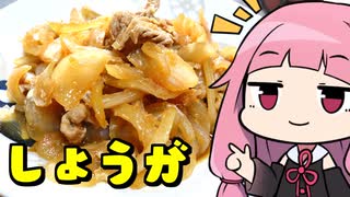 【クソデカ新玉ねぎの生姜焼き】「茜ちゃんが美味いと思うまで」R〒A 22:32 WR