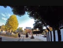 【パワースポット散歩】目黒不動尊の境内を歩く