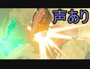 【ボイスピ実況】依頼を受けて、モルドラジークにリモコン爆弾以外の爆発物を入れてみた【ドリカラ】【ブレワイ,ゼルダの伝説ブレスオブザワイルド,BotW,ゼル伝】