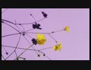 【AIきりたん】Pure Data テストサウンド WIP 【オリジナル曲】
