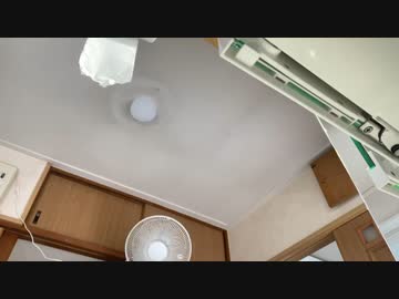 堕落する日