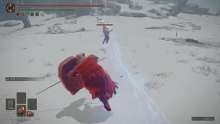チキン野郎のゲーム日記 エルデンリング編 その7