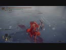 チキン野郎のゲーム日記 エルデンリング編 その8