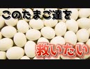激ムズたまごアクション『LOST EGG 2_ Be together』実況プレイ#2【サボテンとハト】