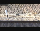 【音楽】Train Sound Video【作業用BGM】