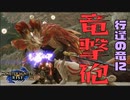 【STEAM版】モンハンライズ『綺麗な竜に竜撃砲！』