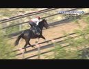 ２歳馬のＸＸＸをゆかりんがナニする番組2022 part.1