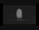 riceball