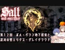 【ソルトアンドサクリファイス】 第１２回 ボル・ゲラン地下探索と混沌の壁エリクス・グレイクラウド【CeVIO実況】