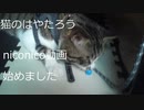 niconico動画始めました